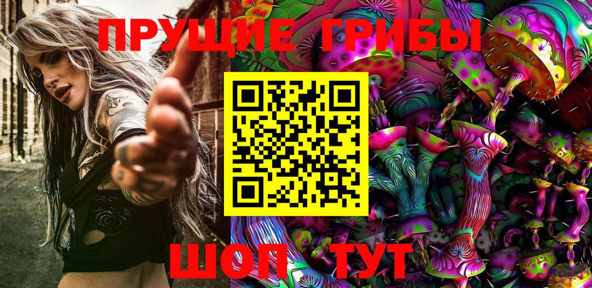 Галлюциногенные грибы Psilocybe Рославль