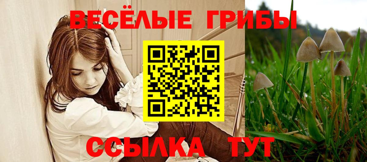 Псилоцибиновые грибы Psilocybe  Вход с VPN  Рославль  Псилоцибиновые грибы мицелий 
